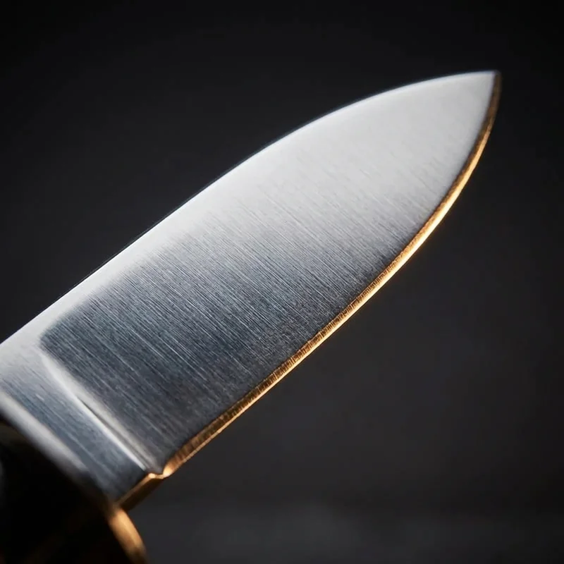 Déglon — Professional Oyster Knife Rosewood Handle with Guard - 2